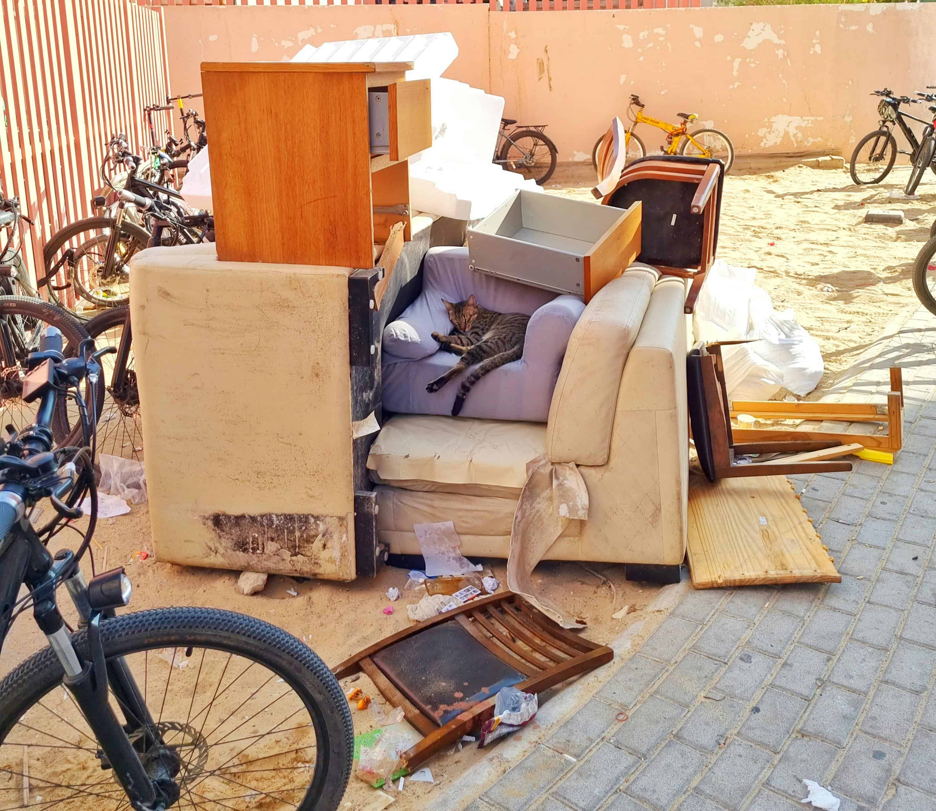 Furniture Removal image