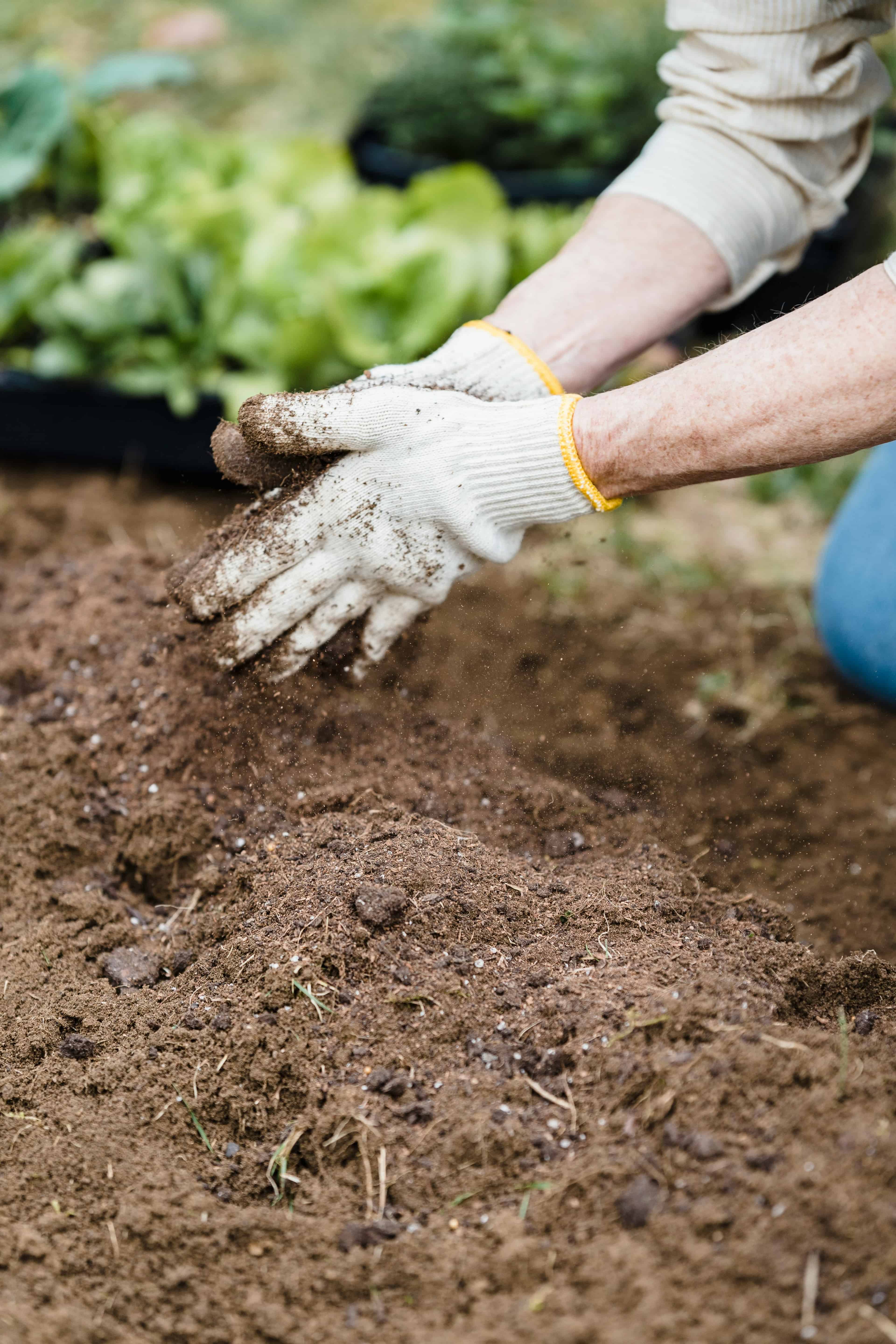 Hauling Mulch image