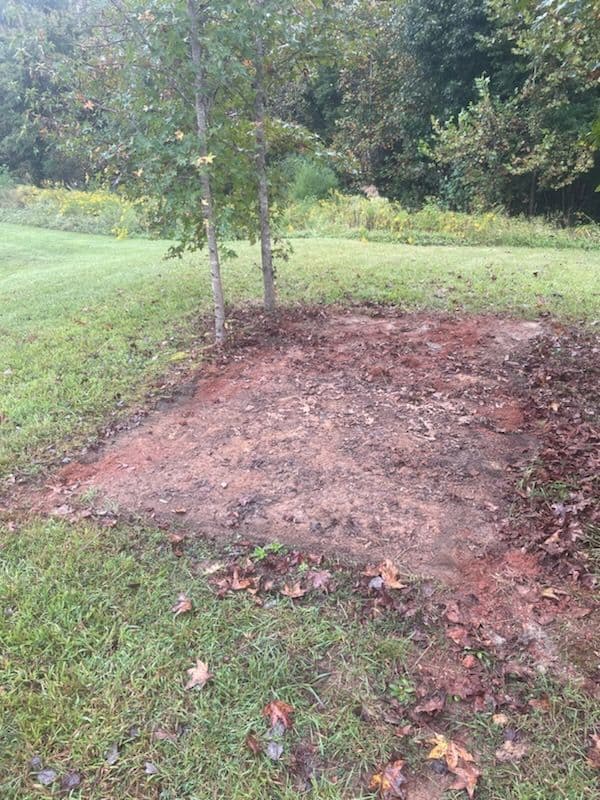 Project Effective Yard Cleanup in Greensboro image