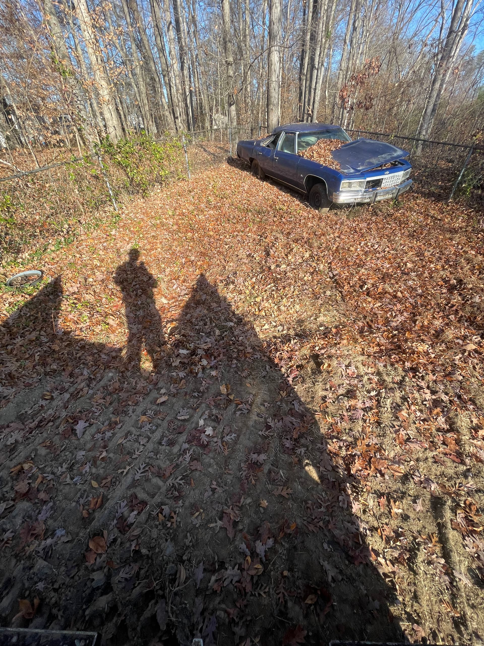 Gallery photos for Clearing the Clutter in Greensboro: Image #5